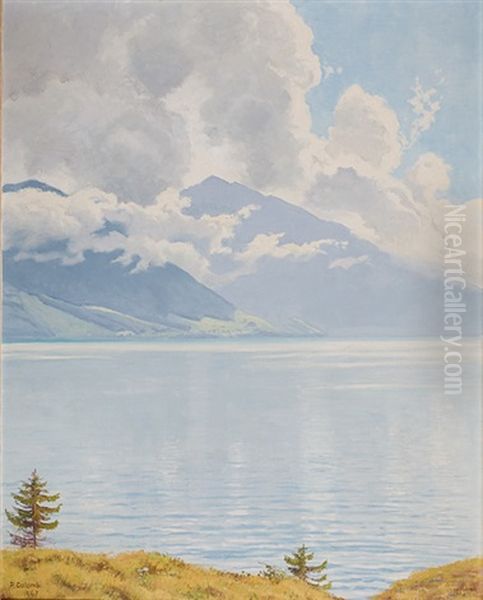 Wolkenstimmung/thunersee by Plinio Colombi