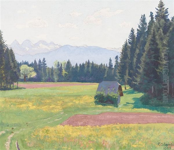 Sommerliche Wiesenpartie Mit Alpenpanorama by Plinio Colombi