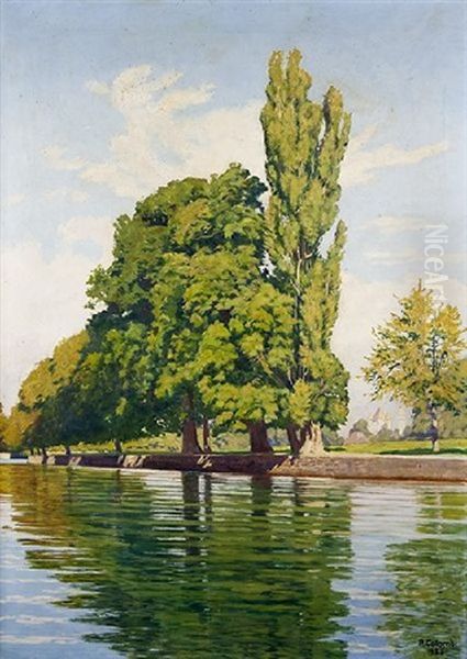 Bord De Riviere by Plinio Colombi