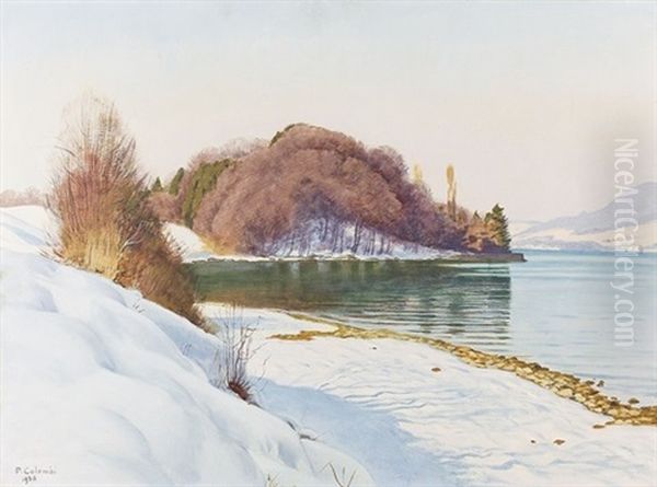 Winterliche Partie Am Thunersee by Plinio Colombi