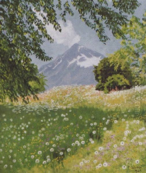 Sommerliche Gebirgslandschaft by Plinio Colombi