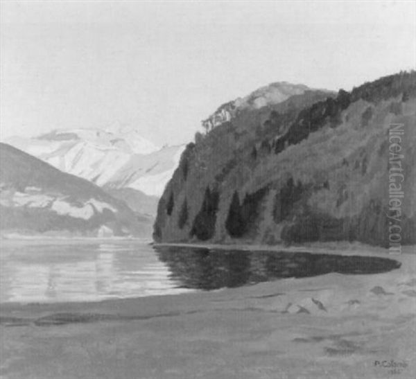 Stille Bucht Am Brienzersee by Plinio Colombi