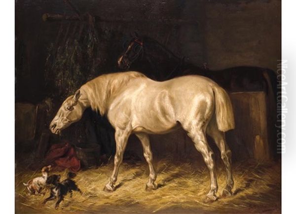 Zwei Pferde Im Stall Oil Painting by Gustav Colsoulle