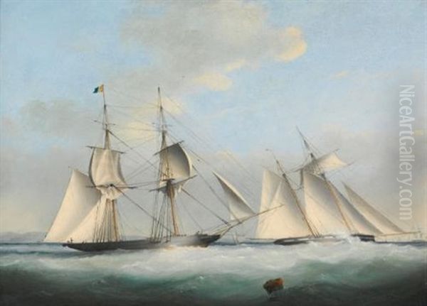 A Schooner Yacht Of The Royal Western Yacht Club Off Teignmouth, A Yacht And A Norwegian Coaster In A Storm And The Thousand Guinea Match Between Henry Bradley's Brig The Water Witch And Lord Belfast's Schooner Galatea (3 Works) Oil Painting by Nicholas Matthew Condy