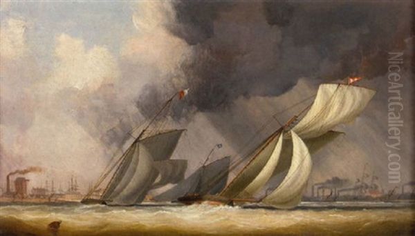 Cutter Yachts Racing At Plymouth Oil Painting by Nicholas Matthew Condy