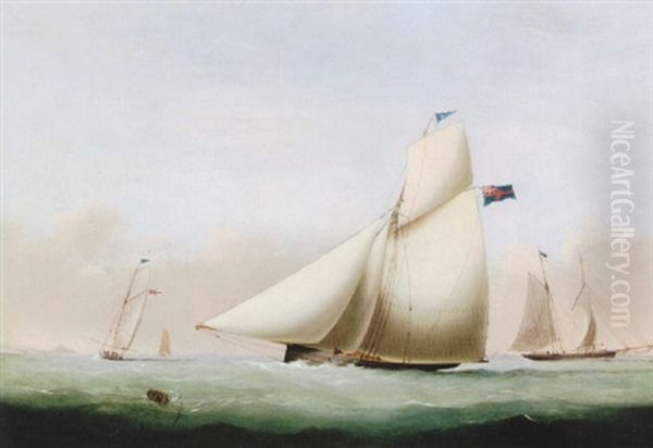 The Cutter Yacht 