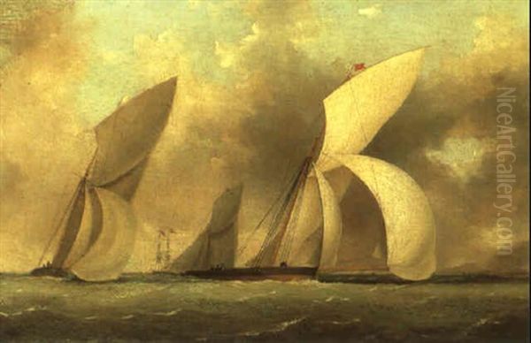 Yacht Race Oil Painting by Nicholas Matthew Condy