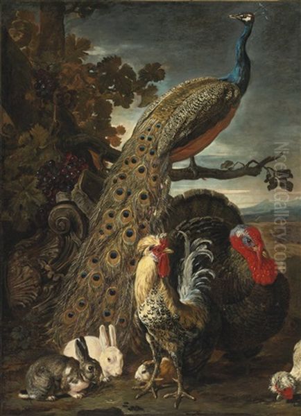 A Peacock, Turkey, Rabbits, And Cockerel In A Landscape Oil Painting by David de Coninck