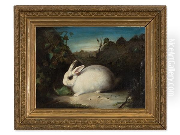 White Rabbit Oil Painting by David de Coninck