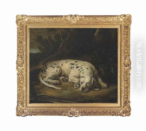 A Spotted Hound Resting By A Tree In A Wooded Landscape Oil Painting by David de Coninck