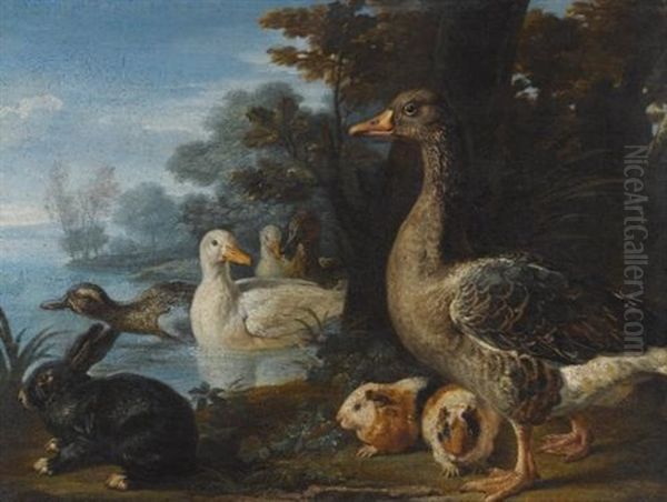 A Cockerel, Hens, Doves And A Parrot In A Formal Garden Setting; Ducks, Guinea Pigs And A Rabbit In A Wooded Landscape Beside A Lake (pair) Oil Painting by David de Coninck