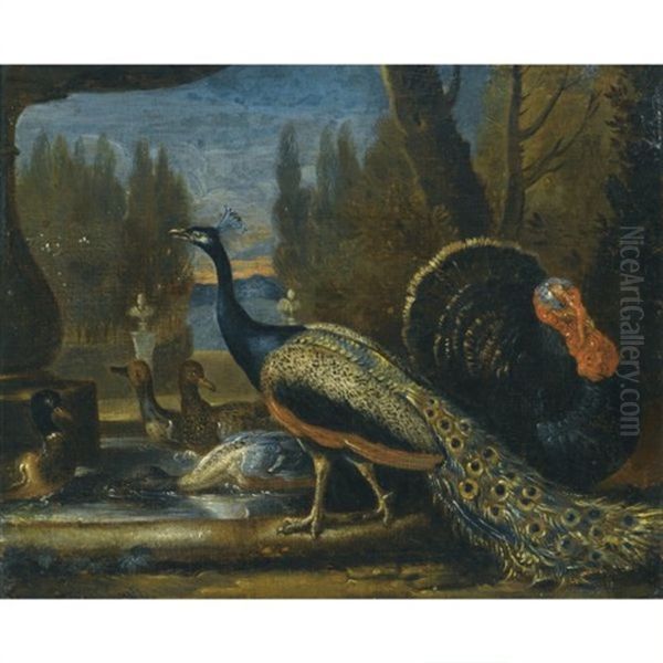 Ducks, A Peacock And A Turkey In A Parkland Setting (+ Hare, Birds And A Spaniel ; Pair) Oil Painting by David de Coninck