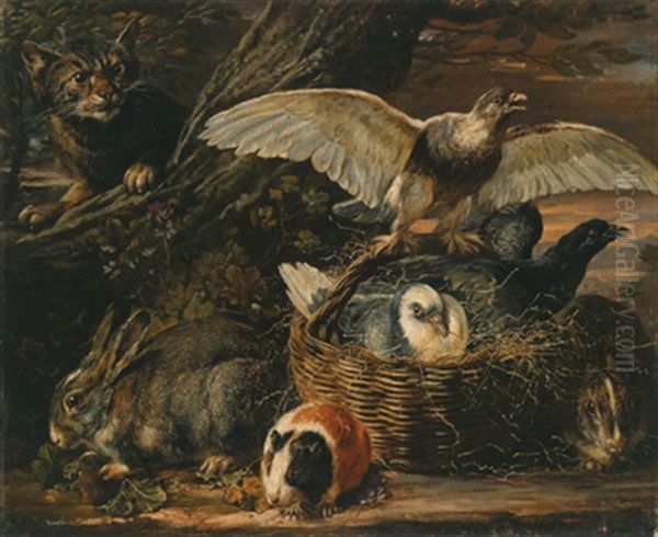 Kaninchen Und Ein Meerschweinchen Neben Einem Korb Mit Vogeln Und Einem Falken, Von Einer Katze Belauert Oil Painting by David de Coninck