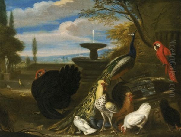 Ein Truthahn, Pfau, Papagei Sowie Huhner Und Tauben In Einem Schlosspark Oil Painting by David de Coninck