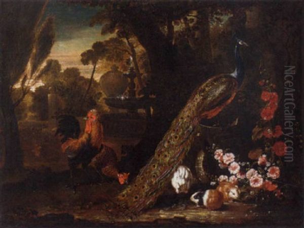 A Peacock, A Cockerel, With Guinea Pigs And A Rabbit In An Italianate Garden With A Fountain Oil Painting by David de Coninck