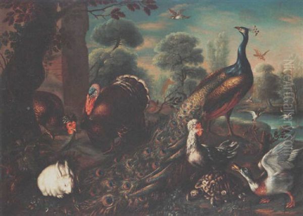 A Peacock, A Turkey, Hens, A Duck, A Turtle, A Rabbit And Birds, With Ducks In A Pool In The Background, All In A Park Landscape Oil Painting by David de Coninck