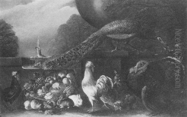 A Turkey, A Peacock, Fowl And Rabbits Beside A Basket Of Fruit In An Ornamental Garden Oil Painting by David de Coninck