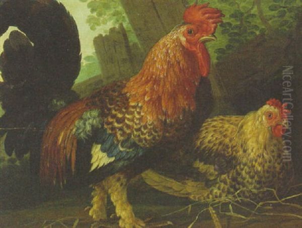 A Cockerel And A Hen Oil Painting by David de Coninck