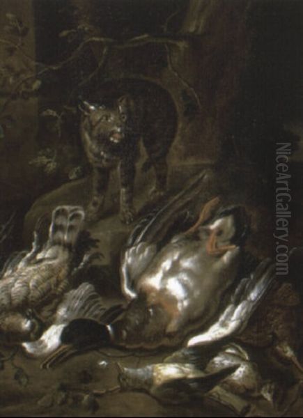 Cat On A Rocky Bank With A Dead Duck And Other Dead Birds by David de Coninck