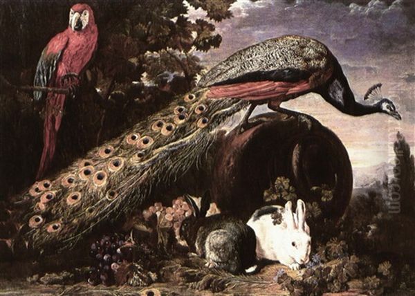 A Peacock A Parrot And Two Rabbits In An Extensive Landscape Oil Painting by David de Coninck