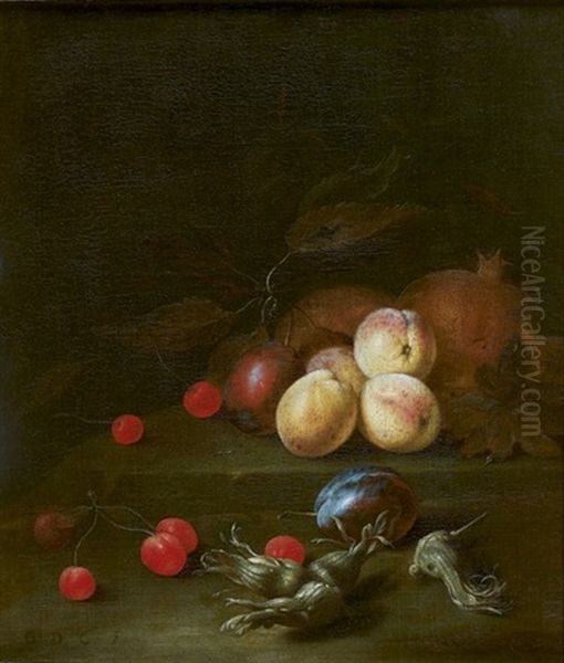 Nature Morte Aux Prunes, Grenades, Cerises Et Noisettes Oil Painting by Gregorius De Coninck