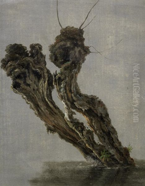 Study Of A Pollarded Tree Stump Standing In Water Oil Painting by Jean-Antoine Constantin d'Aix