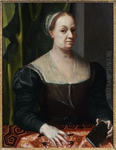 Portrait De Femme Tenant Un Livre Oil Painting by Jacopo del Conte