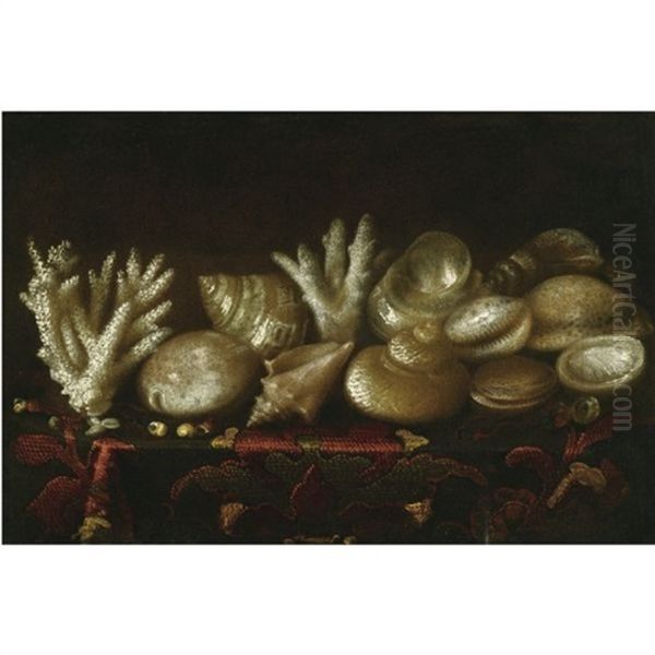 Still Life Of Assorted Shells And Coral Upon A Table Draped With A Carpet Oil Painting by Meiffren Conte