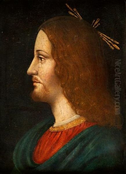 Le Christ Vu De Profil Oil Painting by Bernardino dei Conti