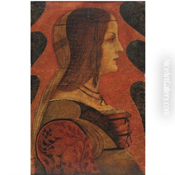 Ritratto Di Gentildonna Di Profilo Oil Painting by Bernardino dei Conti