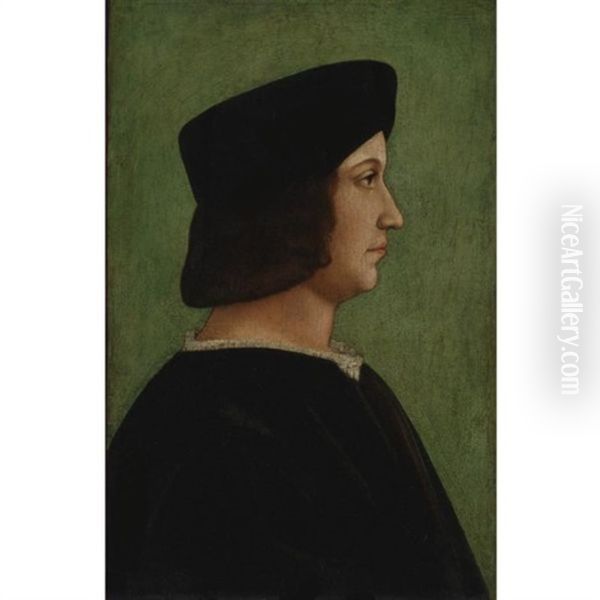 Portrait Of A Man Oil Painting by Bernardino dei Conti