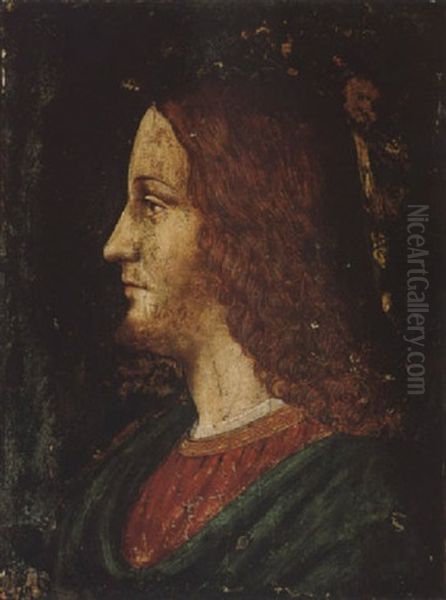 A Study Of The Head Of Christ Oil Painting by Bernardino dei Conti