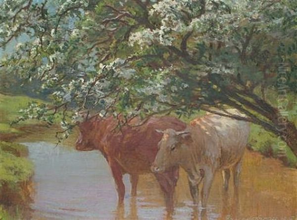 Cattle In A Stream Oil Painting by Ernest O. Cooke