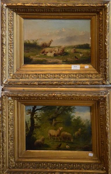 Moutons Au Paturage (pair) Oil Painting by Auguste Coomans