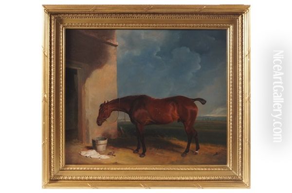 Chestnut Hunter Oil Painting by Abraham Cooper