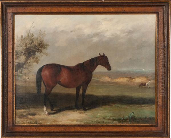 A Bay Hunter Oil Painting by Abraham Cooper