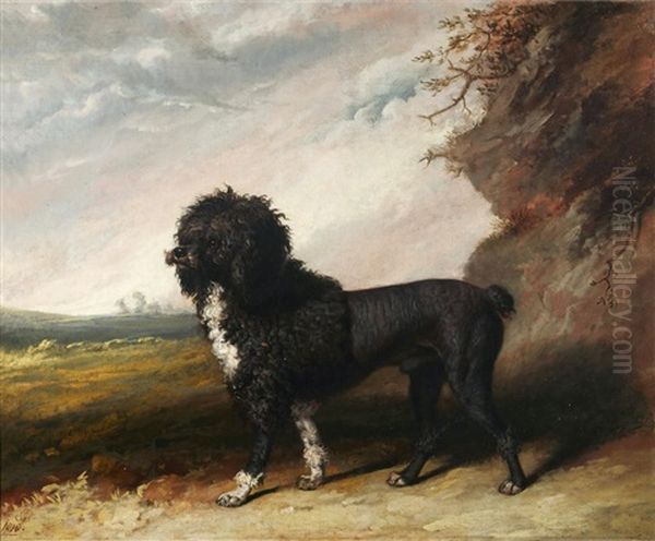 Poodle In A Landscape Oil Painting by Abraham Cooper