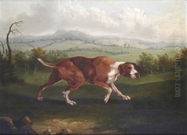 The Spanish Pointer Oil Painting by Abraham Cooper