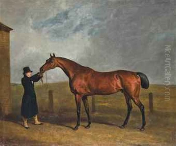 Truffle, Owned By Colonel Udney Oil Painting by Abraham Cooper