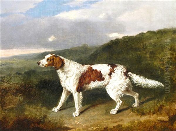 An Irish Red And White Setter In A Landscape Oil Painting by Abraham Cooper