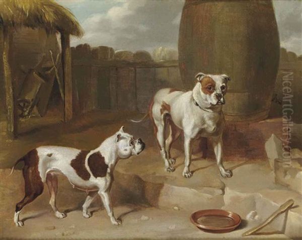 Deux Chiens Dans Une Cour by Abraham Cooper