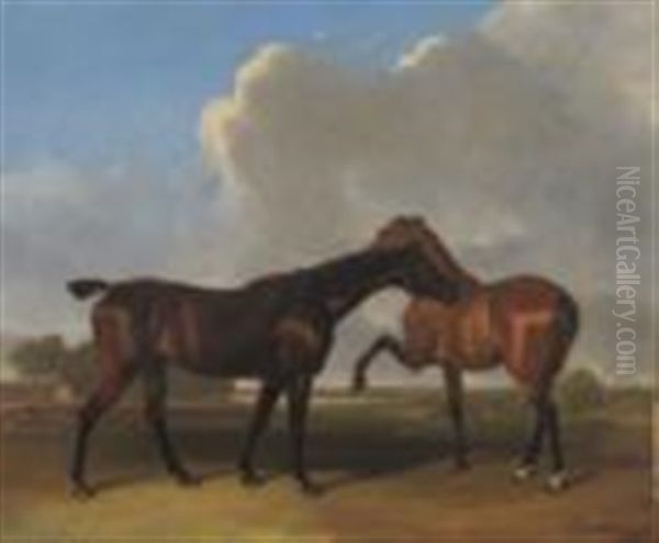 Favourite Horses Of Lord Charles Ferrers Townshend, Bagham Oil Painting by Abraham Cooper