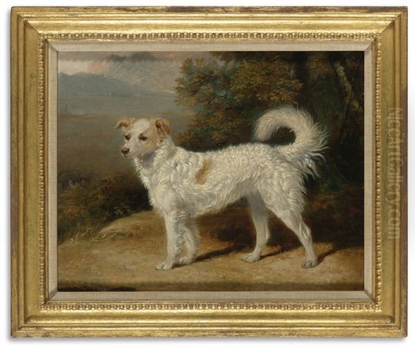 A Spaniel In A Landscape Oil Painting by Abraham Cooper