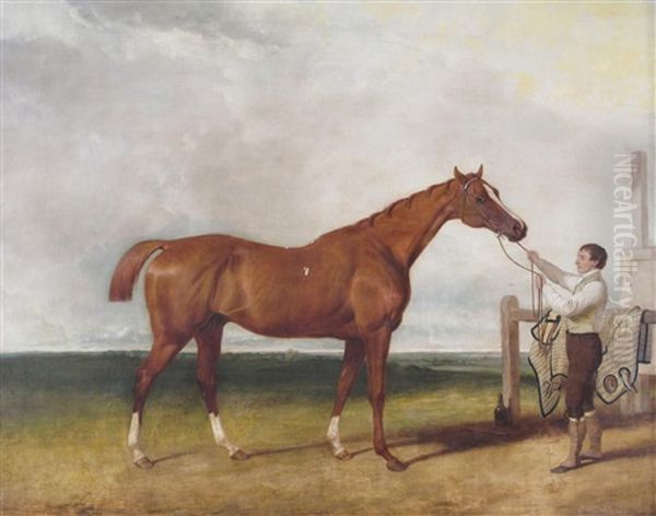 A Bay Hunter In A Park Held By A Groom Oil Painting by Abraham Cooper