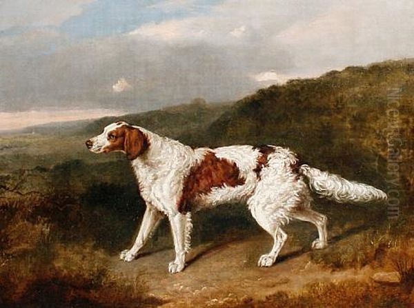 A Setter In A Landscape Oil Painting by Abraham Cooper