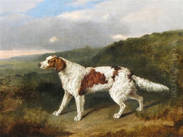 A Pointer In A Landscape Oil Painting by Abraham Cooper