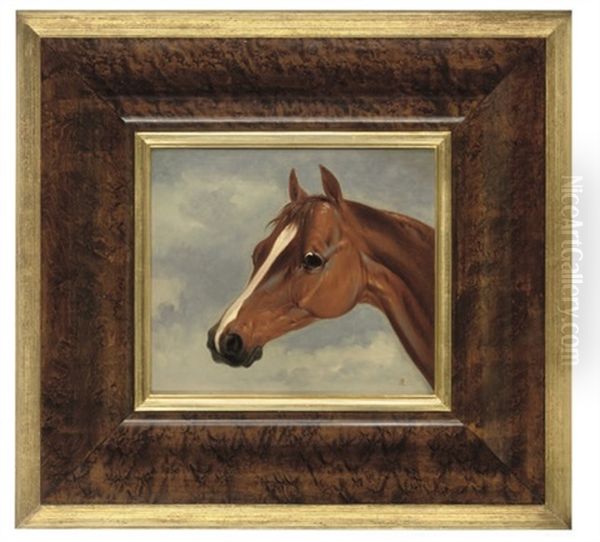 Mr. Stanlake Baston's Chestnut Colt Plenipotentiary (study) Oil Painting by Abraham Cooper