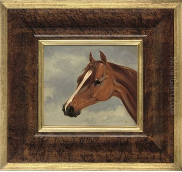 Mr. Stanlake Baston's Chesnut Colt Plenipotentiary (study) Oil Painting by Abraham Cooper