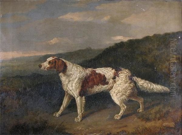 A Pointer In A Landscape Oil Painting by Abraham Cooper