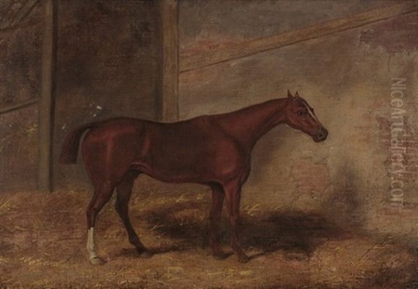 Pferd In Seiner Box Oil Painting by Abraham Cooper